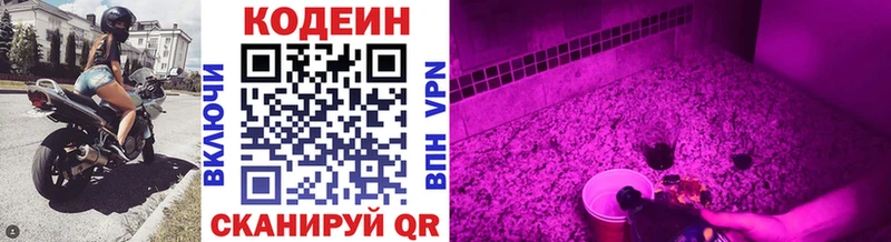 Codein Purple Drank  Купить закладки  Лиски 