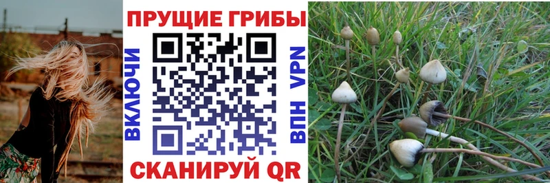 Купить  Лиски  Галлюциногенные грибы Magic Shrooms 